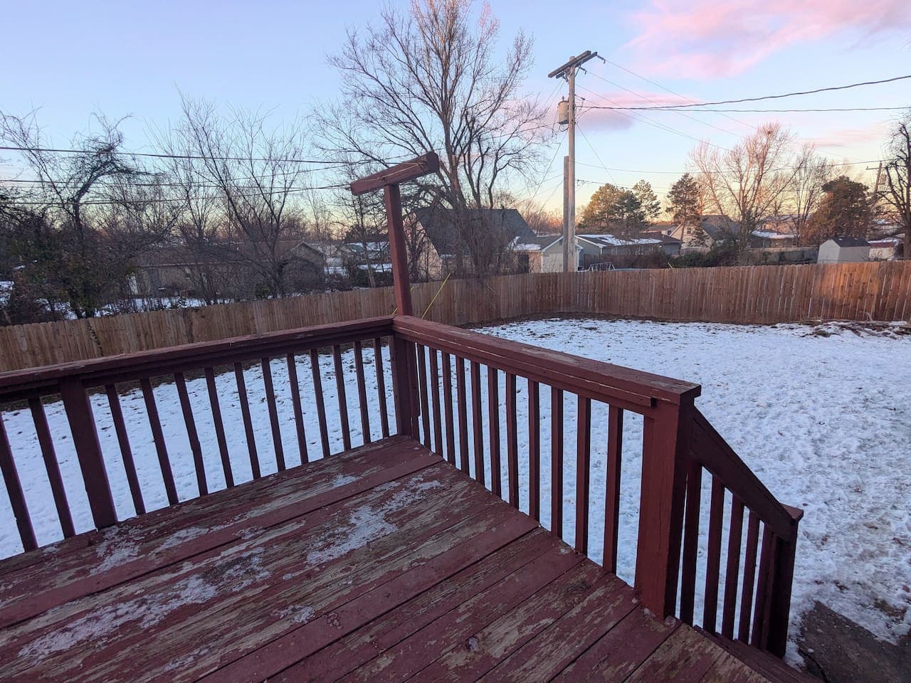 Back Yard